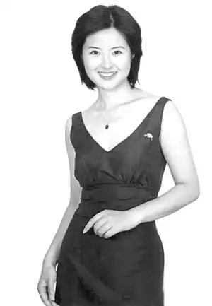 央视主持人张泉灵灵动中国因新闻而美丽图