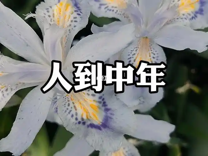 人到中年  #感悟人生