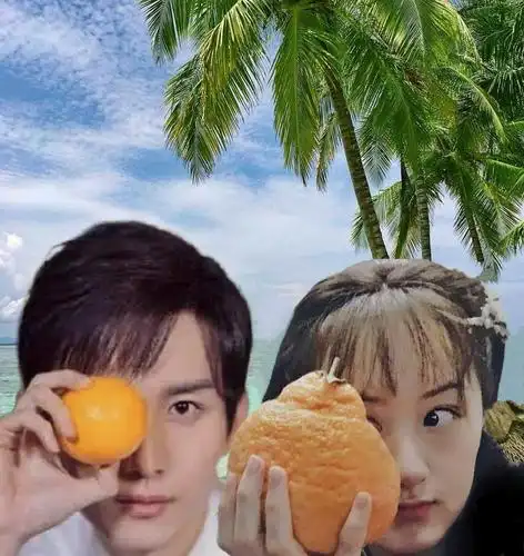 俩人蜜月旅行在三亚照片被曝出来了