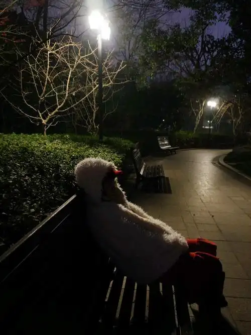 小猫回头看了我们一眼,然后摇摆着屁股,消失在路灯下.