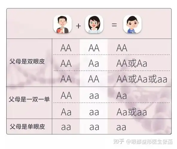 双眼皮为显性遗传,单眼皮为隐形遗传.首先,你要知道,双眼皮是遗传的.
