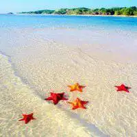 微信头像海边风景【点击鼠标右键下载】