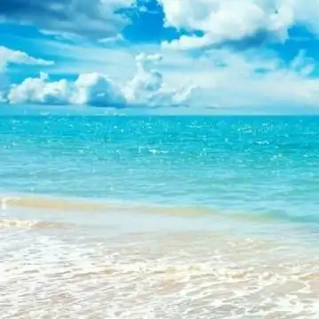 长辈头像大全唯美风景 爸爸妈妈的微信头像海边美景