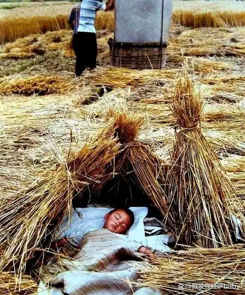 这些老照片:7080后的记忆,献给回不去的童年!你的童年是这样么