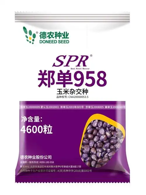 抗逆,适应性广,易管理,粮好卖,新品种,新类型,新突破玉米品种