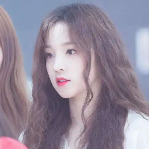 宋雨琦头像二传堆糖浪漫因素