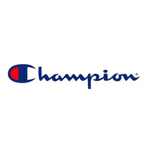 champion ny sign グレーt-シャツl / チャンピ