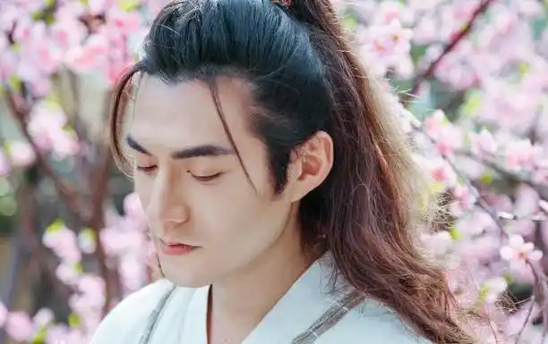 严屹宽早期古装剧照(23岁成名被嘲花瓶20年)(13)