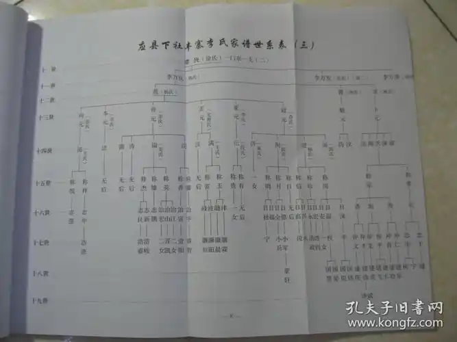 李氏家谱(山西应县下社丰寨.先祖原为党项羌族.