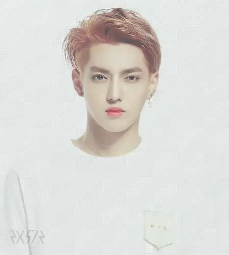 求exo这张的12个成员的单人照