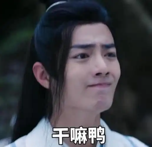 肖战搞笑表情包,一张比一张搞笑