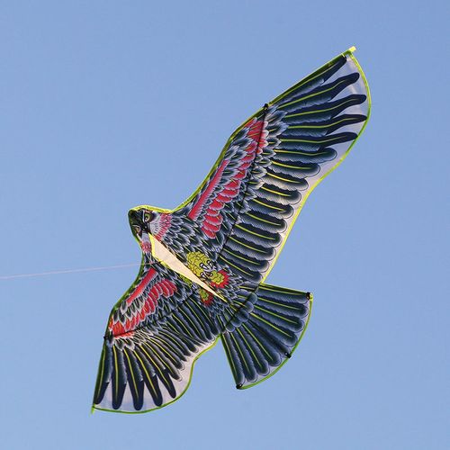 老鹰风筝仿真特大 吓鸟风筝新款老鹰大烫金立体潍坊儿童三角微风易飞