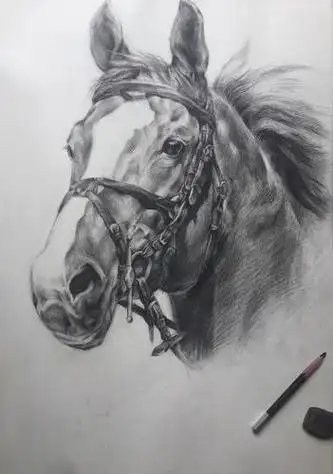 素描马图片素描马图片大全高清