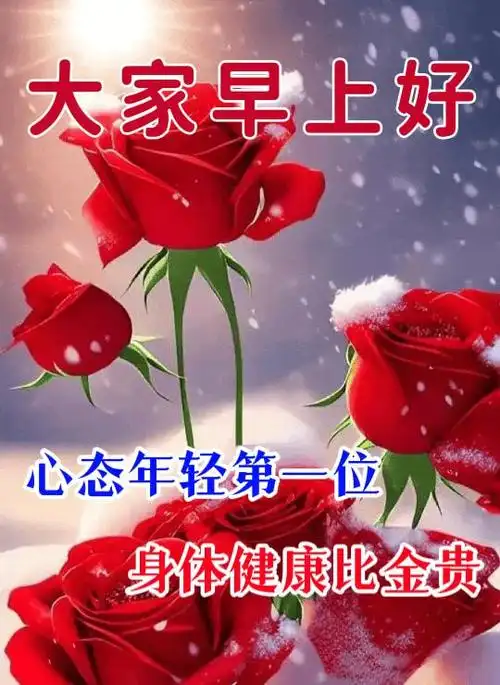 最新漂亮早上好祝福表情包,让轻轻的问候,载去平安快乐