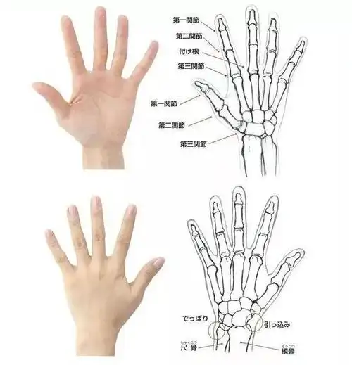 手怎么画如何把手画好画手的技巧有哪些