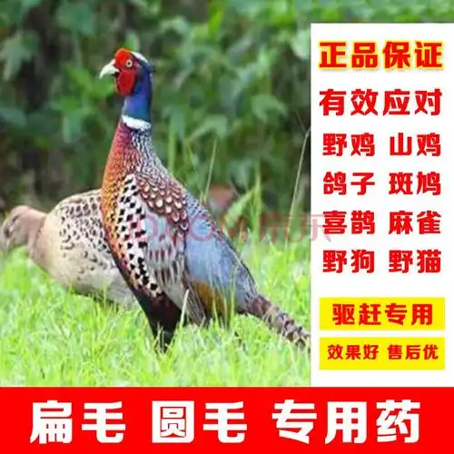 扁毛驱鸟药驱鸟神器果园专用鸟药专用驱鸽子喜鹊麻雀户外驱鸟剂