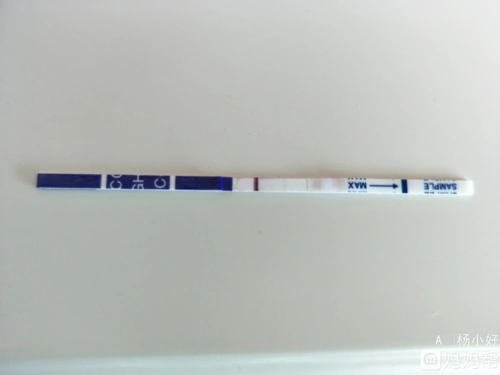 早孕试纸多久才能准确测出来是否怀孕呢首先我们要了解一下早孕试纸的