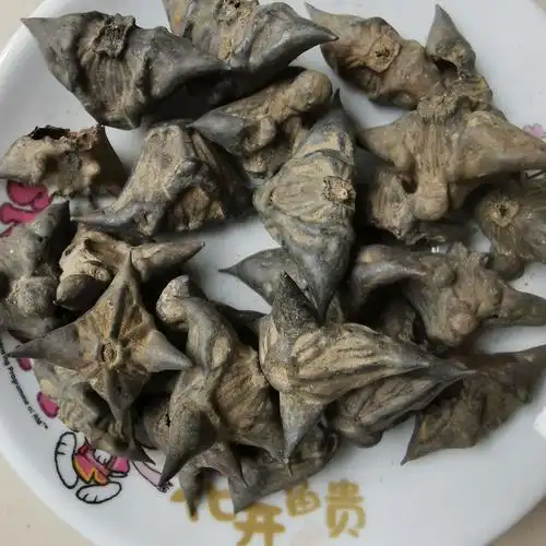 大货供应 四角菱 菱角 马甲子 雄虎刺 铁菱角白棘量大从优