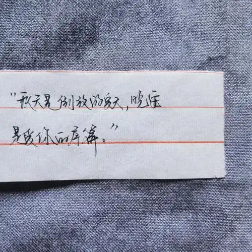 [拔草r]  你不必将梵高画满全身,你就是浪漫本身.