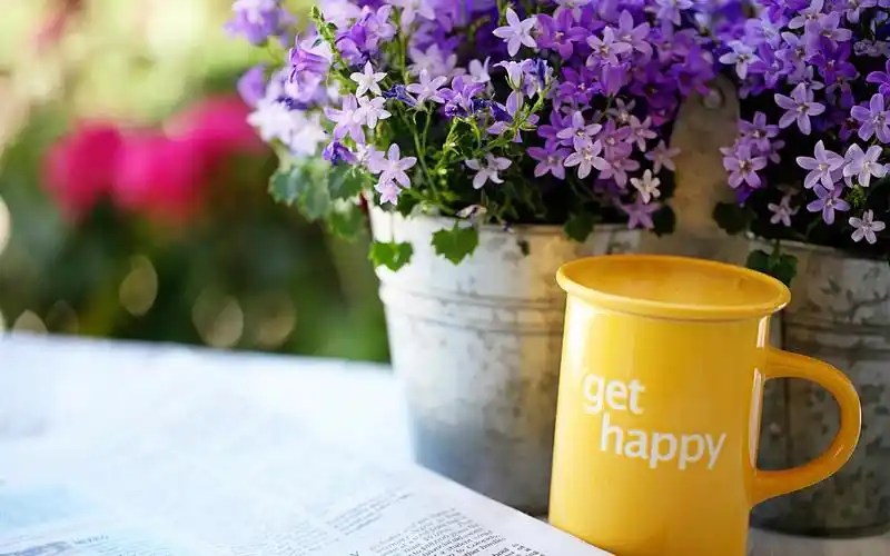 唯美小清新花卉电脑桌面壁纸