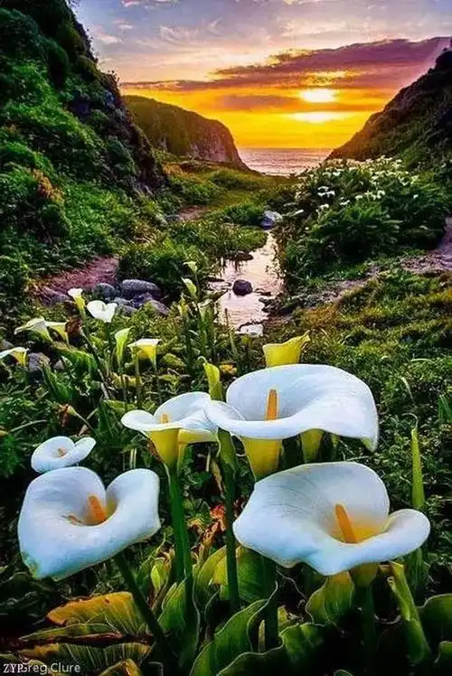 太美了!100张世界顶级美景