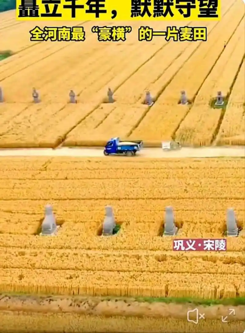 940_1280竖版 竖屏