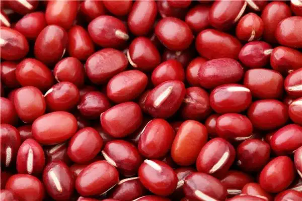 红豆图片
