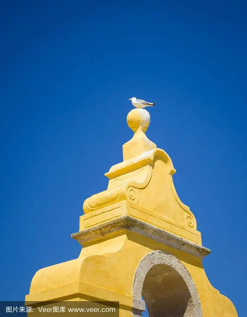 一只海鸥在黄塔顶上