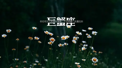 杂烩巨蟹座星座壁纸1