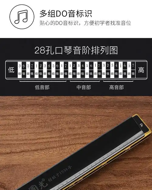 国光口琴重音28孔男女初学者学生成人儿童入门复音c调专业演奏级