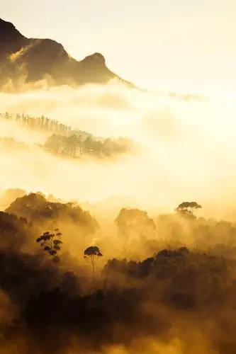 相机:canon eos 5d mark ii焦距:190mm 快门:1/1600 sec 光圈:f/8 iso