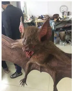 最凶残的猪脸大蝙蝠市民误当宠物猪饲养被咬