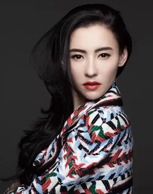 2000年的张柏芝颜值什么水平