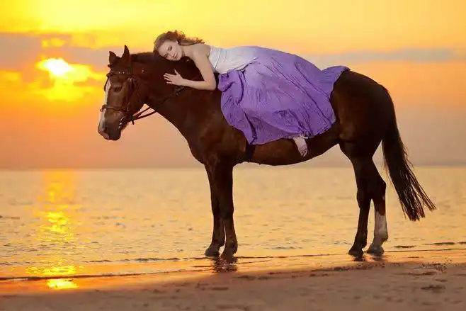 时尚美女与马写真高清摄影图片(图片id:59736)-高清人物图片-素材中国