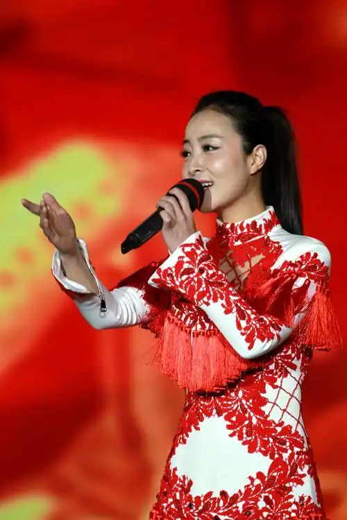 唱红陕北的明星王小妮,王二妮是她姐姐!