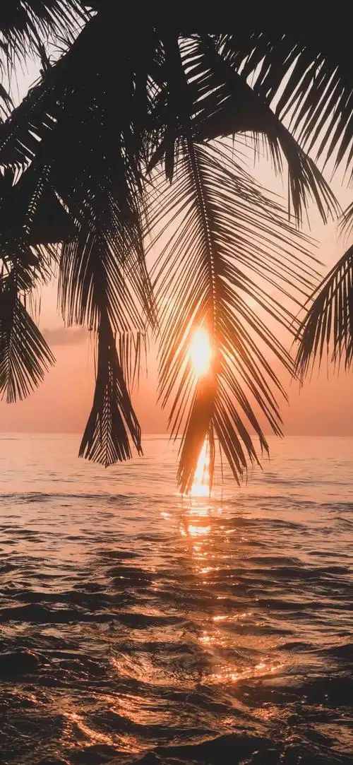 夕阳壁纸 - 华为主题主题分享 花粉俱乐部