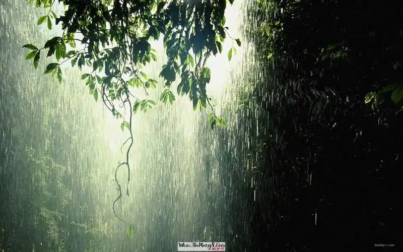 女人的婚姻命理之女性的桃花运与魅力_桃花运是婚姻的前提