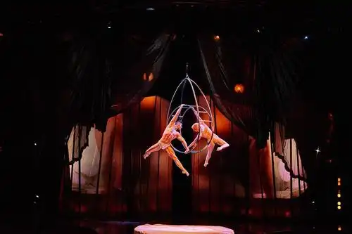 zumanity | 太阳剧团的情色表演