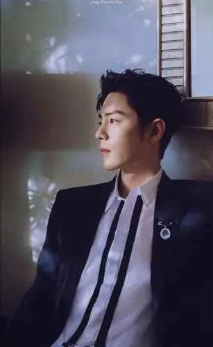 2021-01-19抖音星动之夜【肖战壁纸】