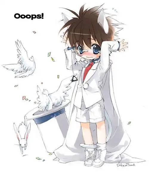 求怪盗基德的萌图