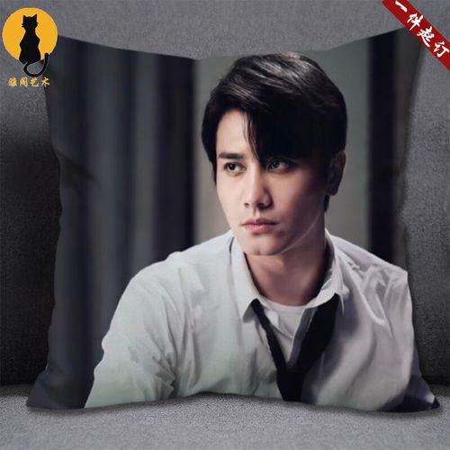 彭冠英抱枕周边阳光之下傅慎行大哥照片海报靠枕睡觉被子定制坐垫 3