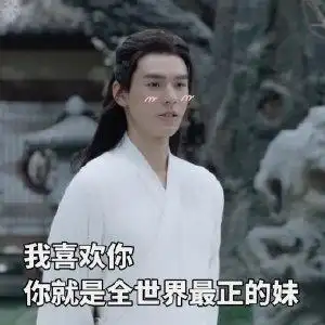 山河令搞笑表情包合集