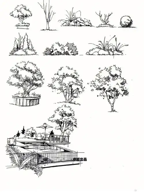 景观手绘线稿篇