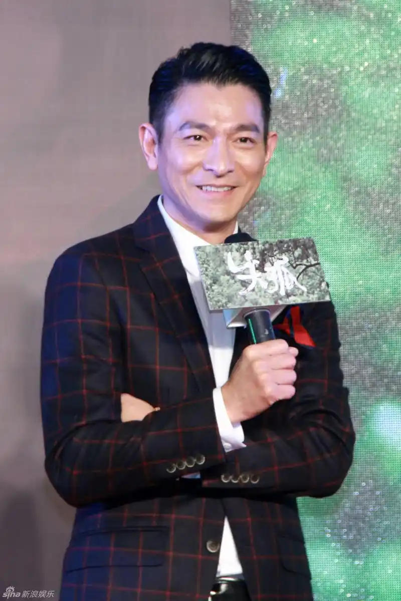 组图:《失孤》刘德华望以艺人身份为打拐出力_高清图集_新浪网