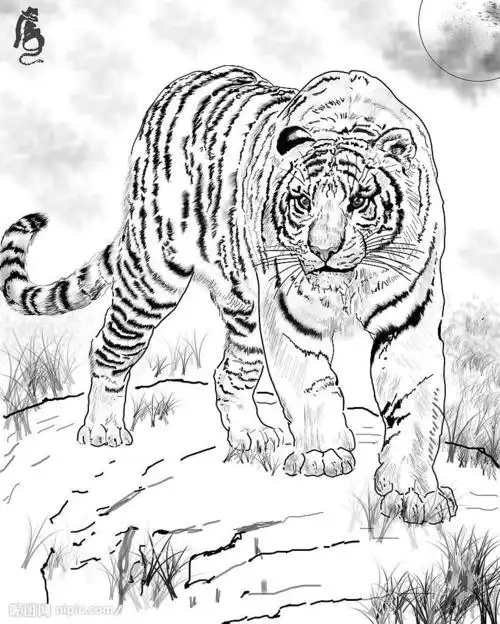 怎样用铅笔画简笔画山水画