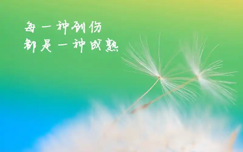 文字控励志简约背景图片壁纸