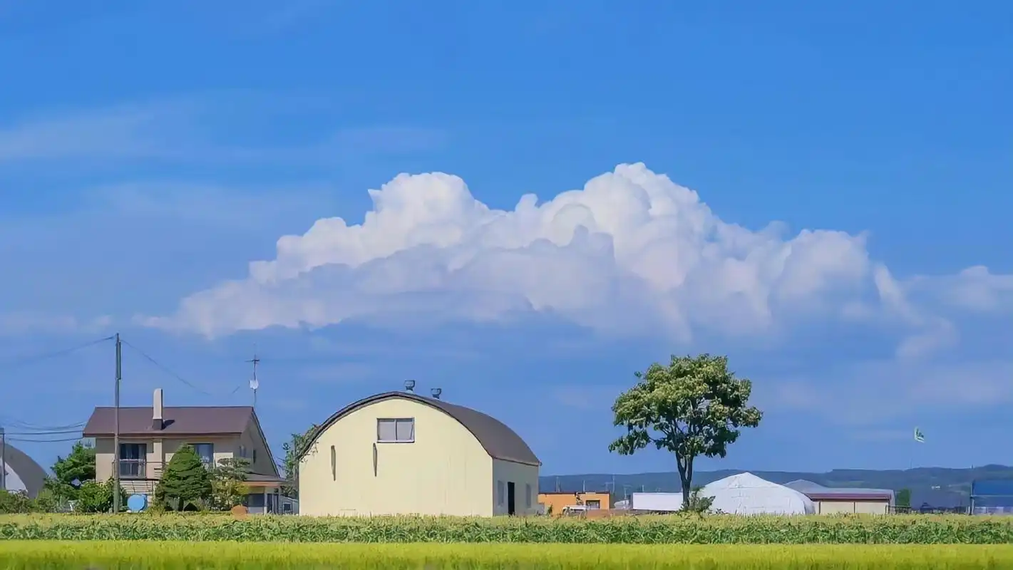电脑壁纸推荐[鲜花]