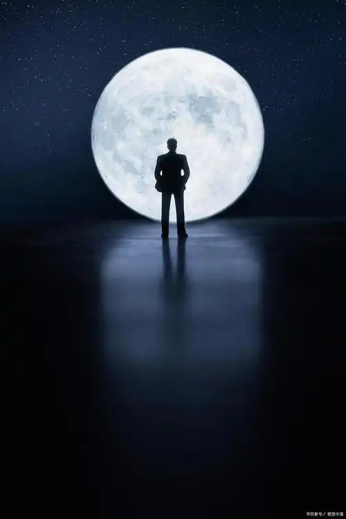 孤寂的背影,立在窗前,双手扶着窗台,望着窗前的庭院,看着一地霜降的