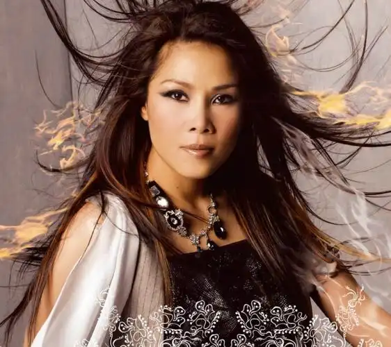 人物,歌手,明星,田震壁纸