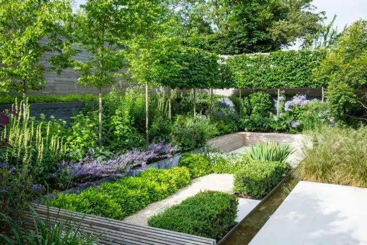 景观设计案例|needle景观案例分享:第四十九期_项目_设计单位_植物